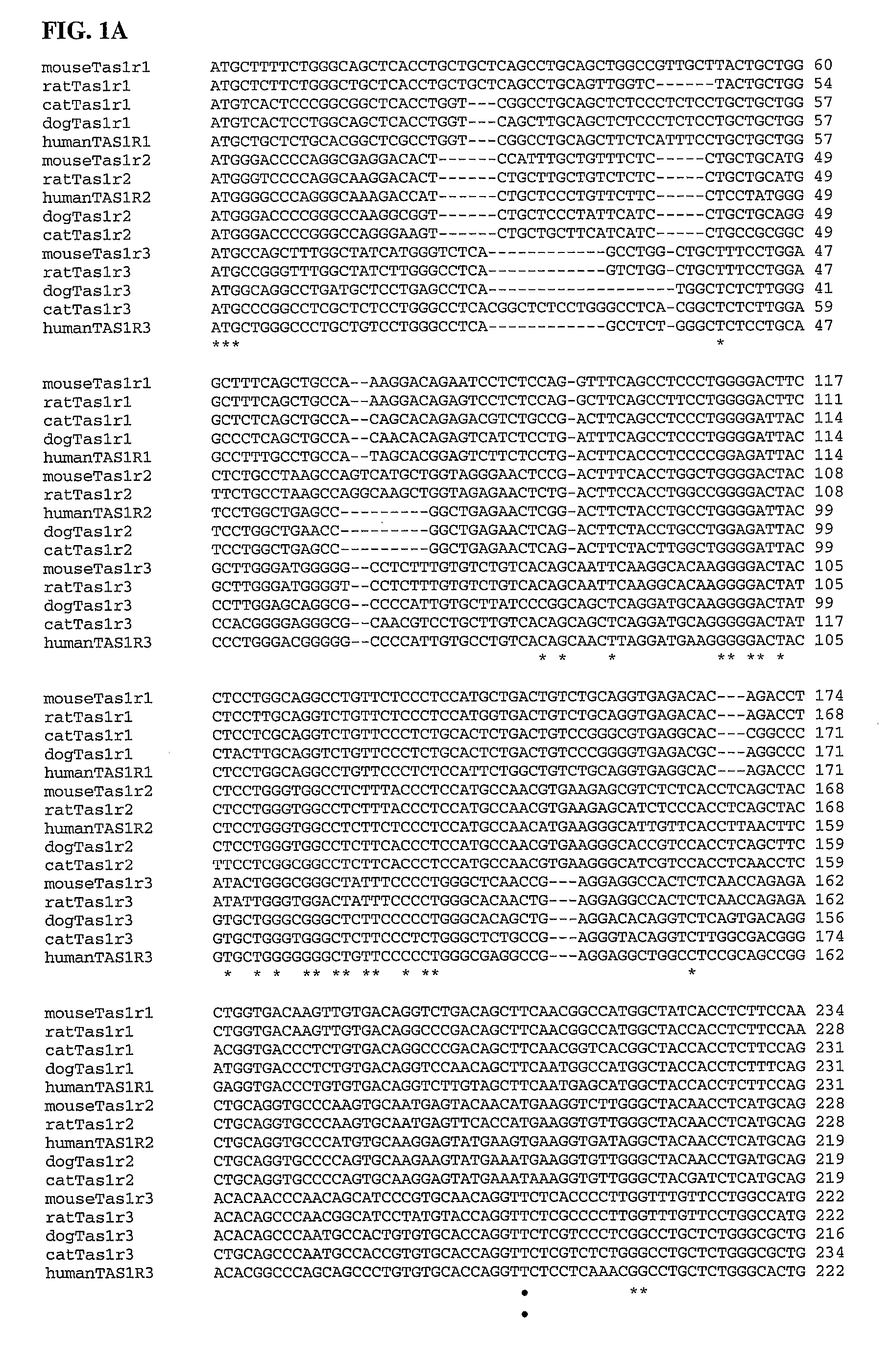 Taste Receptors of the T1r Family from Domestic Dog