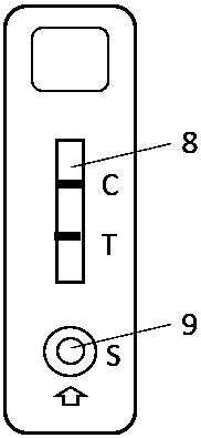 FITC test paper strip for detecting amphetamine as well as preparation method and application method thereof