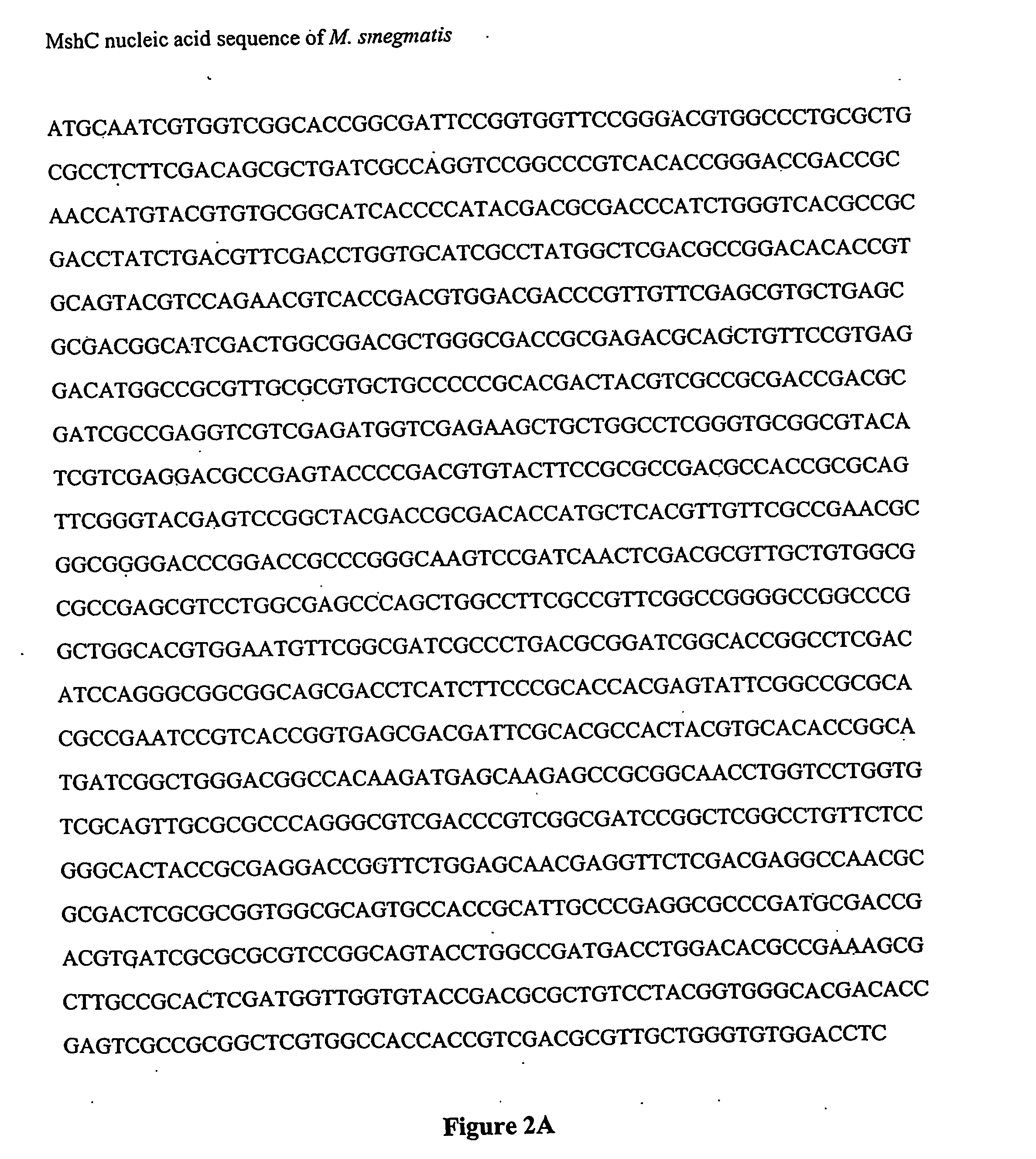 Methods of use of the enzymes of mycothiol synthesis