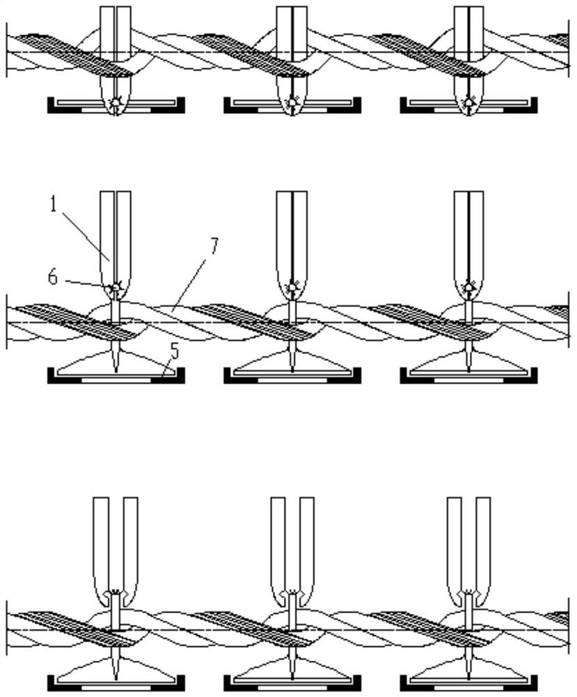 A device and method for vertically clamping kelp in rows