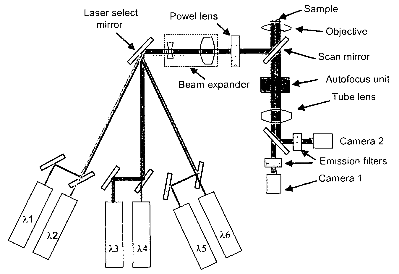 Method and apparatus for fluorescent confocal microscopy