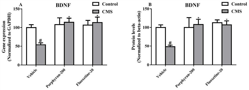 Application of a kind of laver polysaccharide and preparation method of laver polysaccharide