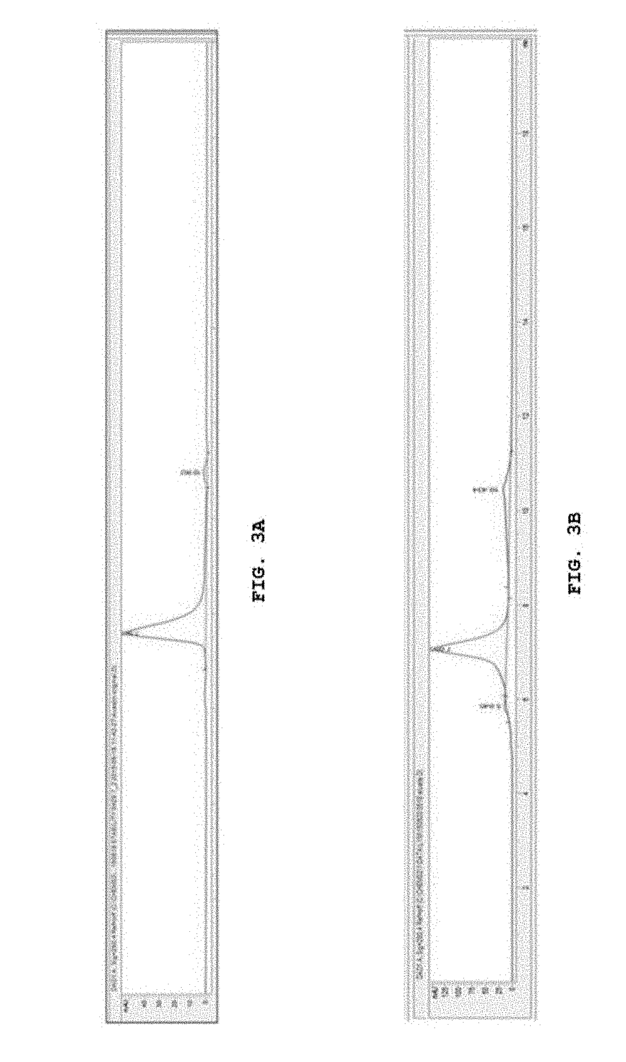 Pharmaceutical composition containing, as active ingredient, fusion protein in which tumor-penetrating peptide and Anti-angiogenesis agent are fused, for preventing and treating cancer or angiogenesis-related diseases