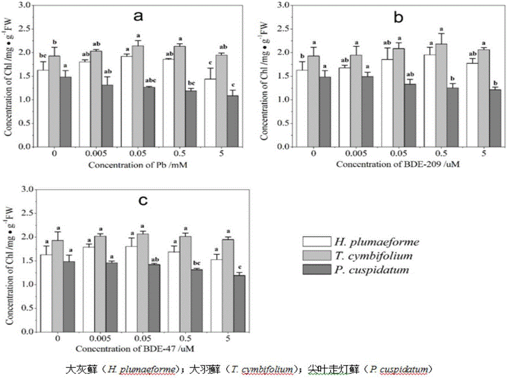 Poly brominated diphenyl ether and heavy metal pollution moss physiological and biochemical determining method