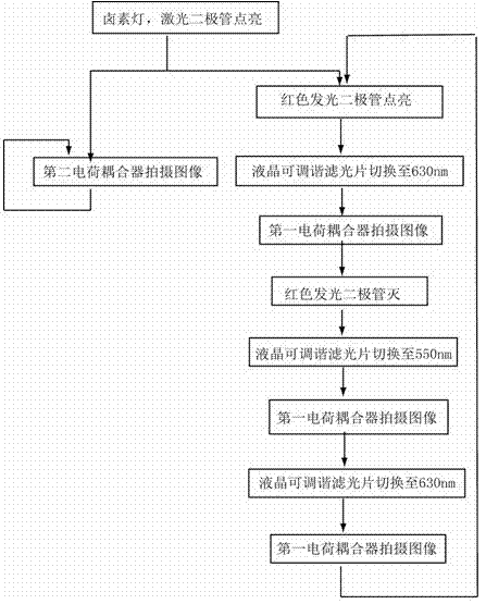 Cortical functional multi-mode imaging system