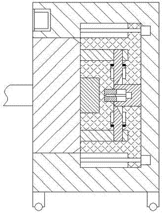 Dust remover device