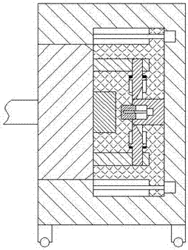 Dust remover device