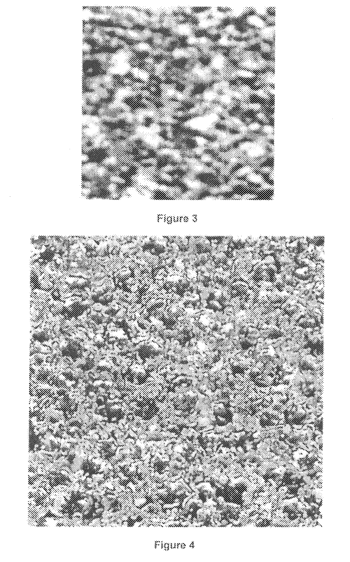 Means for using microstructure of materials surface as a unique identifier