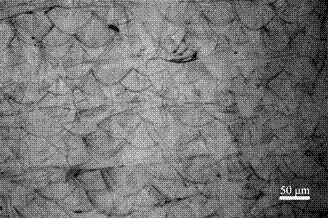 An aluminum-based in-situ composite material formed based on laser 3D printing and its preparation method