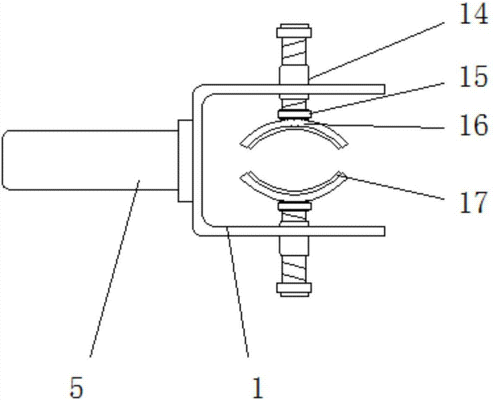 Fixation and protection clip for grafting