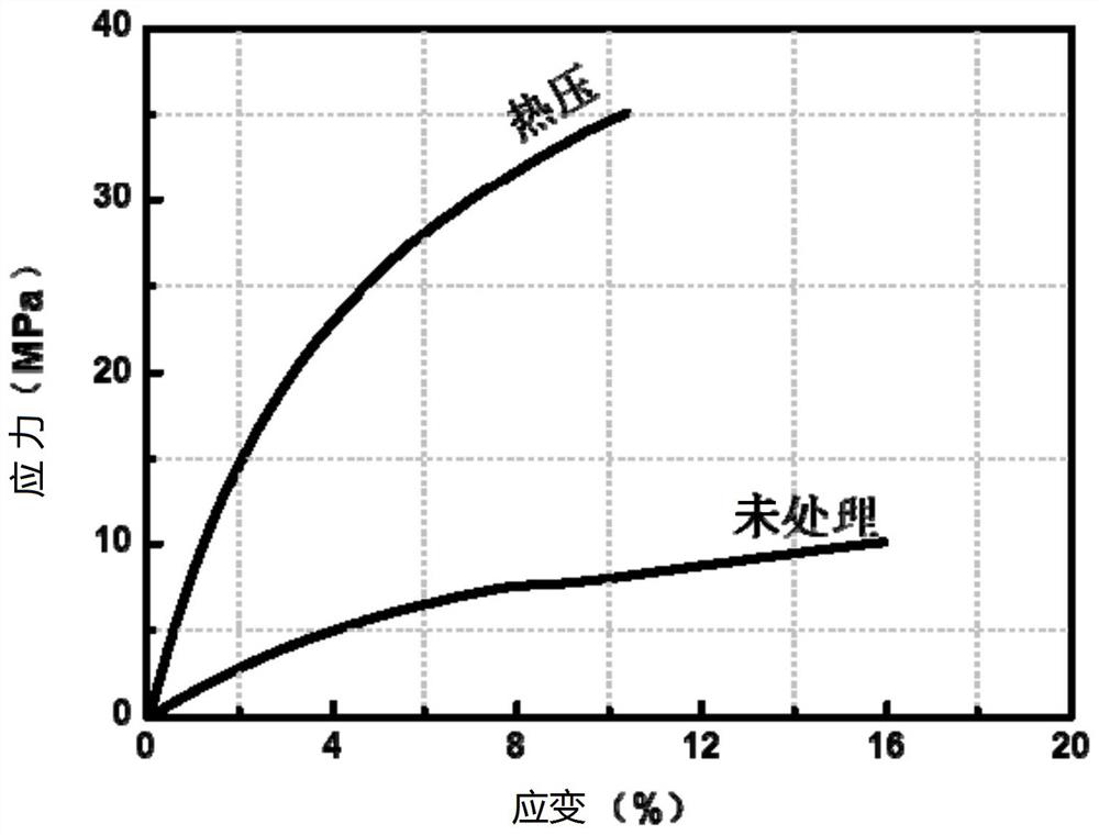 Separator for lithium battery and preparation method thereof