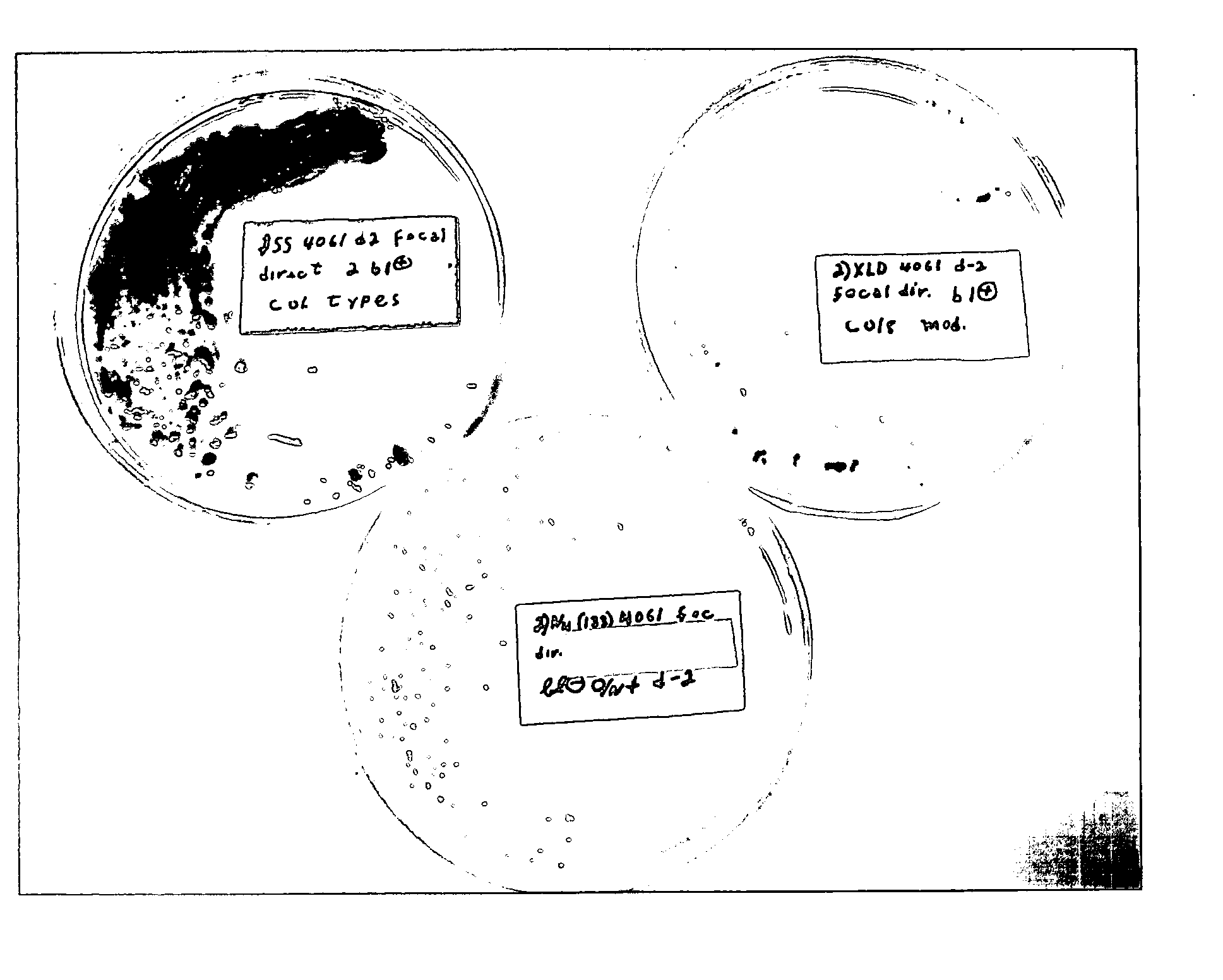 Advanced selective plating media