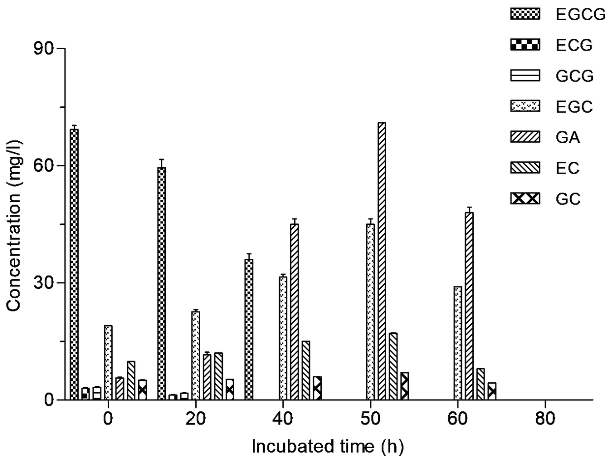 Catechin biological conversion nutrient solution and method for promoting catechin biological conversion