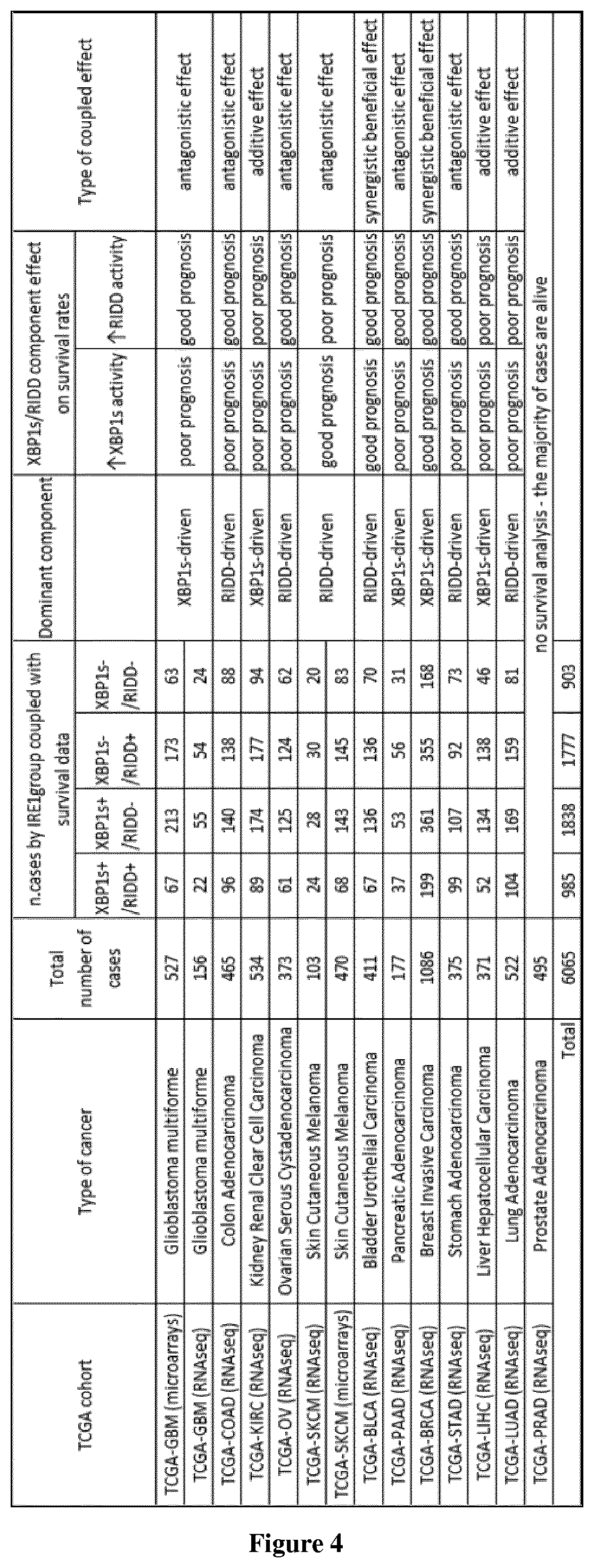 Method of selection of an ire1-inhibitor therapy for patient suffering from cancer