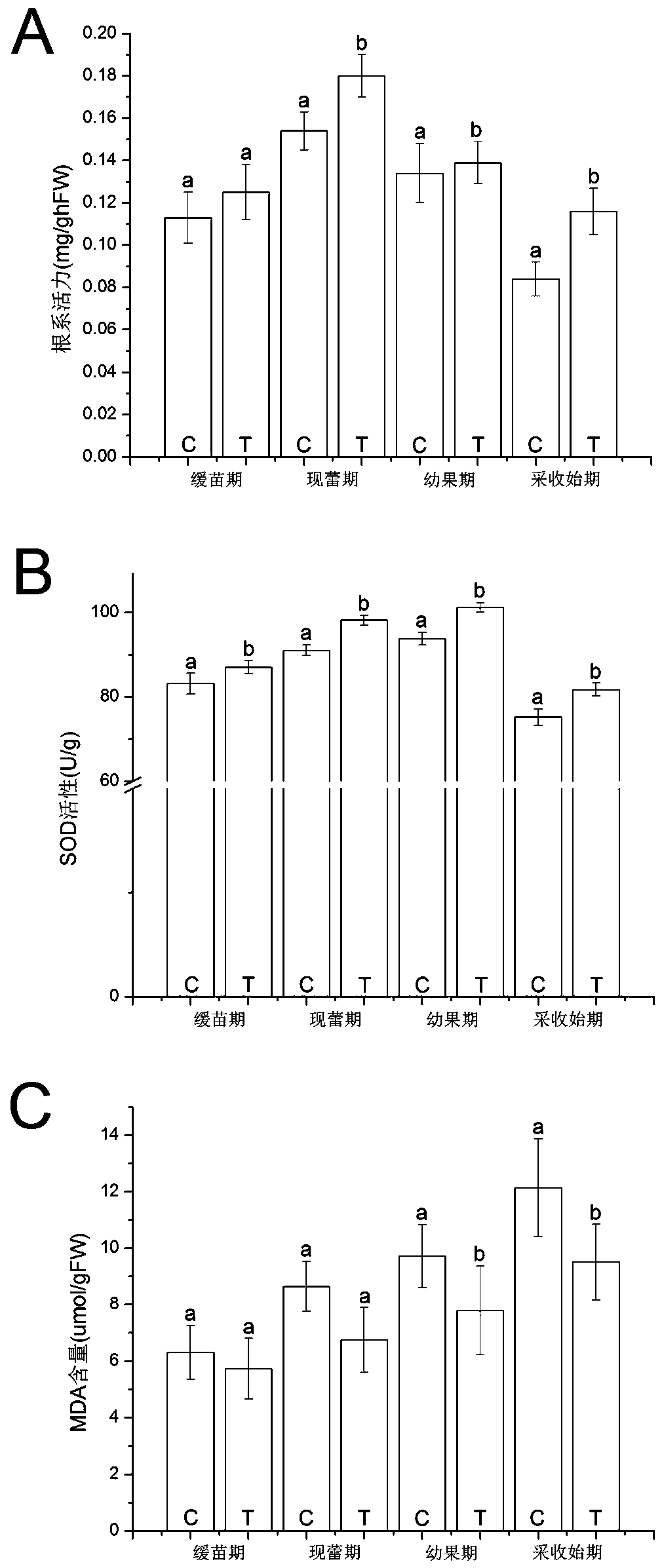 Preparation method and application method of biological stimulin capable of increasing succession cropping obstacle resistance of fragaria ananassa