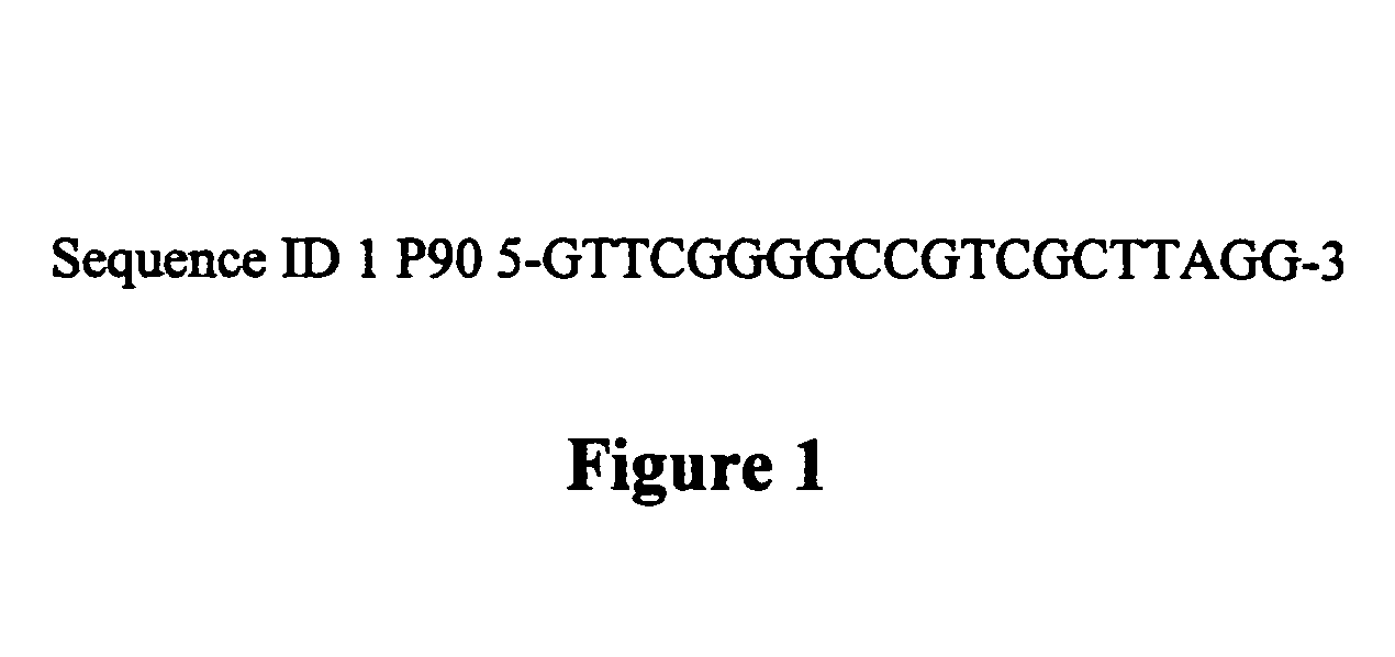 Protocol for detection of Mycobacterium avium subspecies paratuberculosis in blood