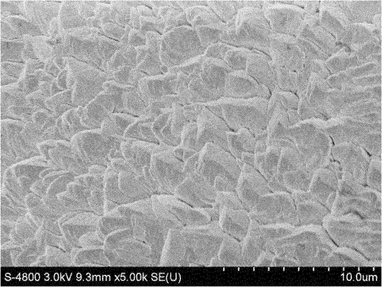 Treatment method of improving oxidation resistance of thermal barrier coating