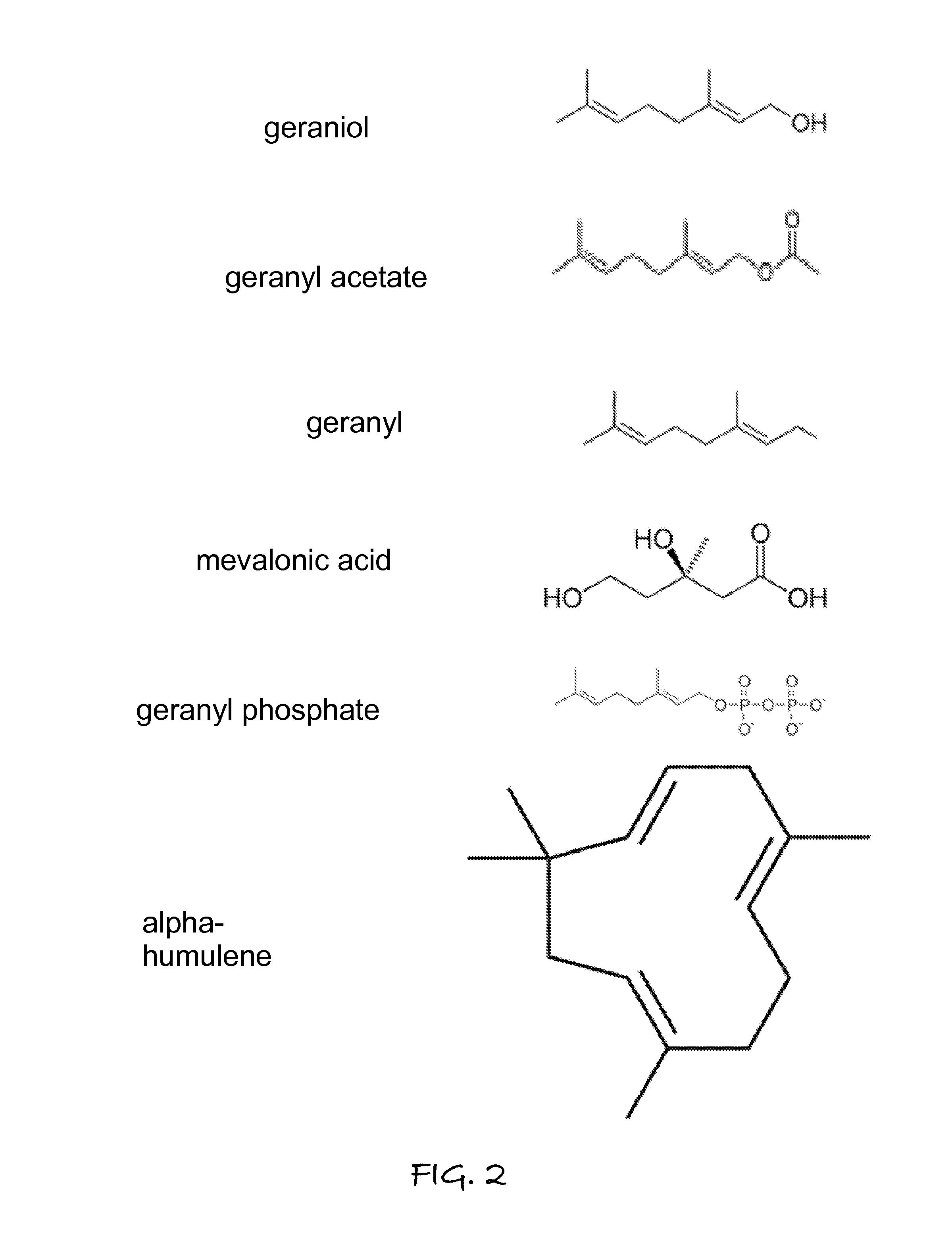 Plant Activator Composition