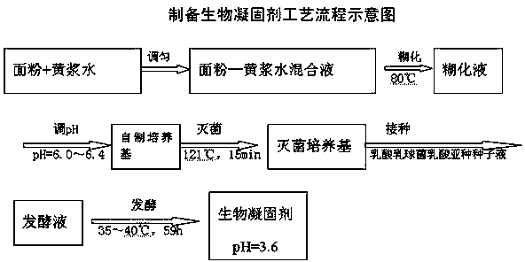 Biological coagulator, preparation method thereof and application thereof