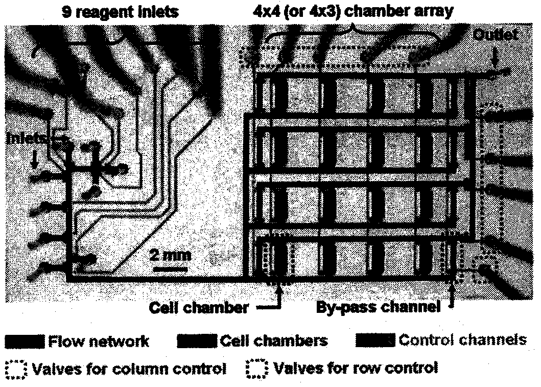 Microfluidic chip imaging system for monitoring cell pharmacokinetics