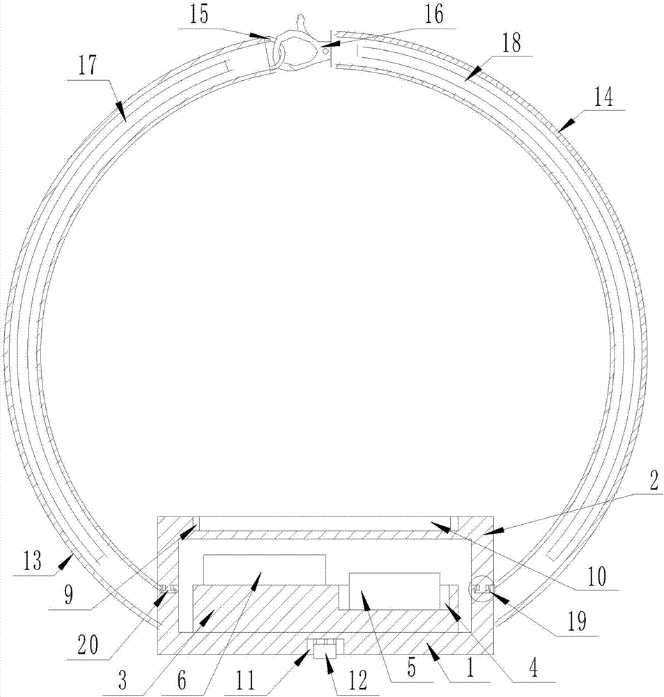 Multifunctional collar