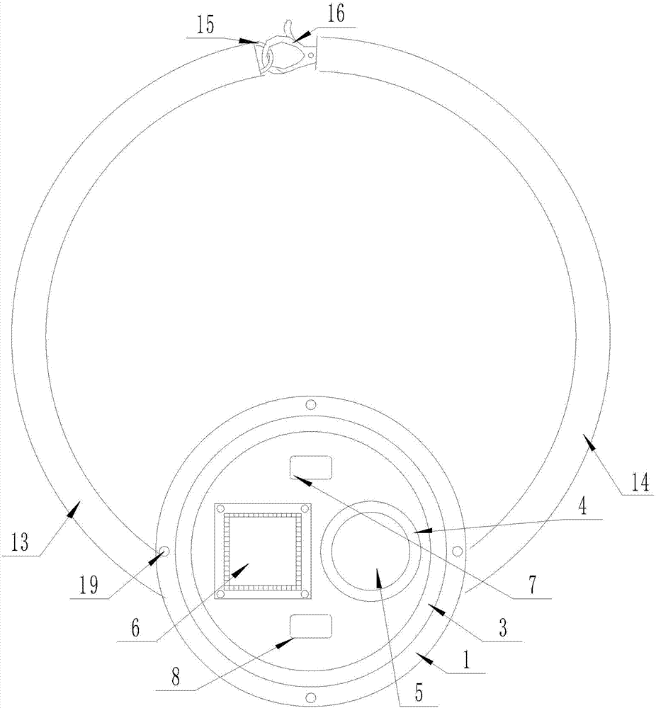 Multifunctional collar