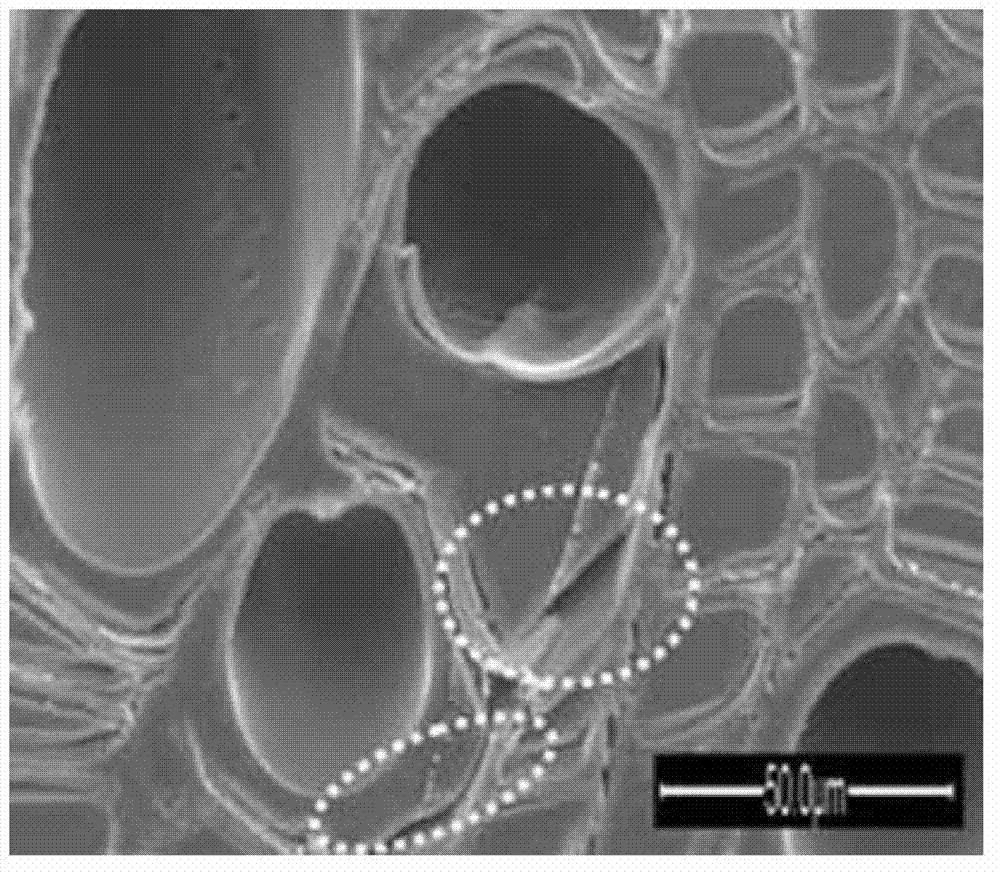 Method for preparing nanometer SiO2 doped wood-organic-inorganic hybrid nanometer composite material