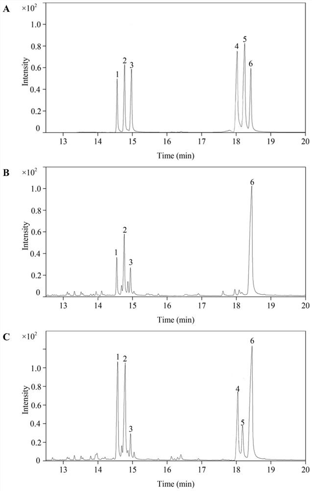 Polysaccharide with immunologic adjuvant effect, preparation method and application thereof