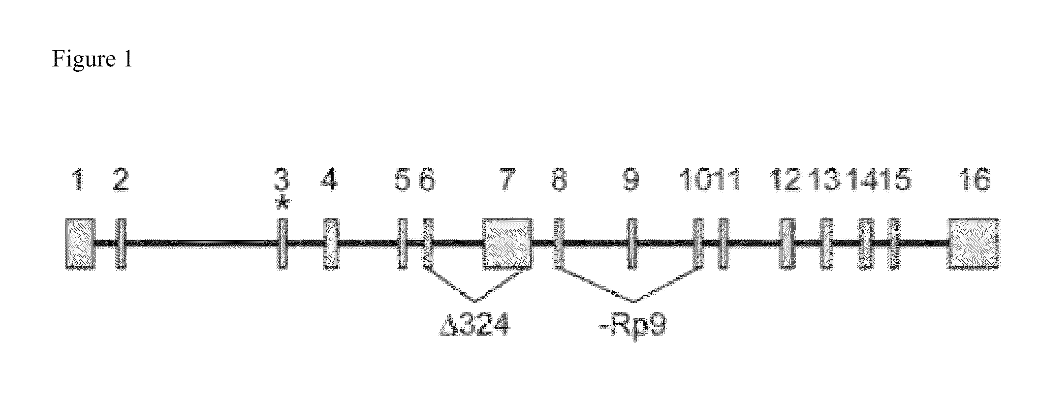 Reagents and methods for treating cancer