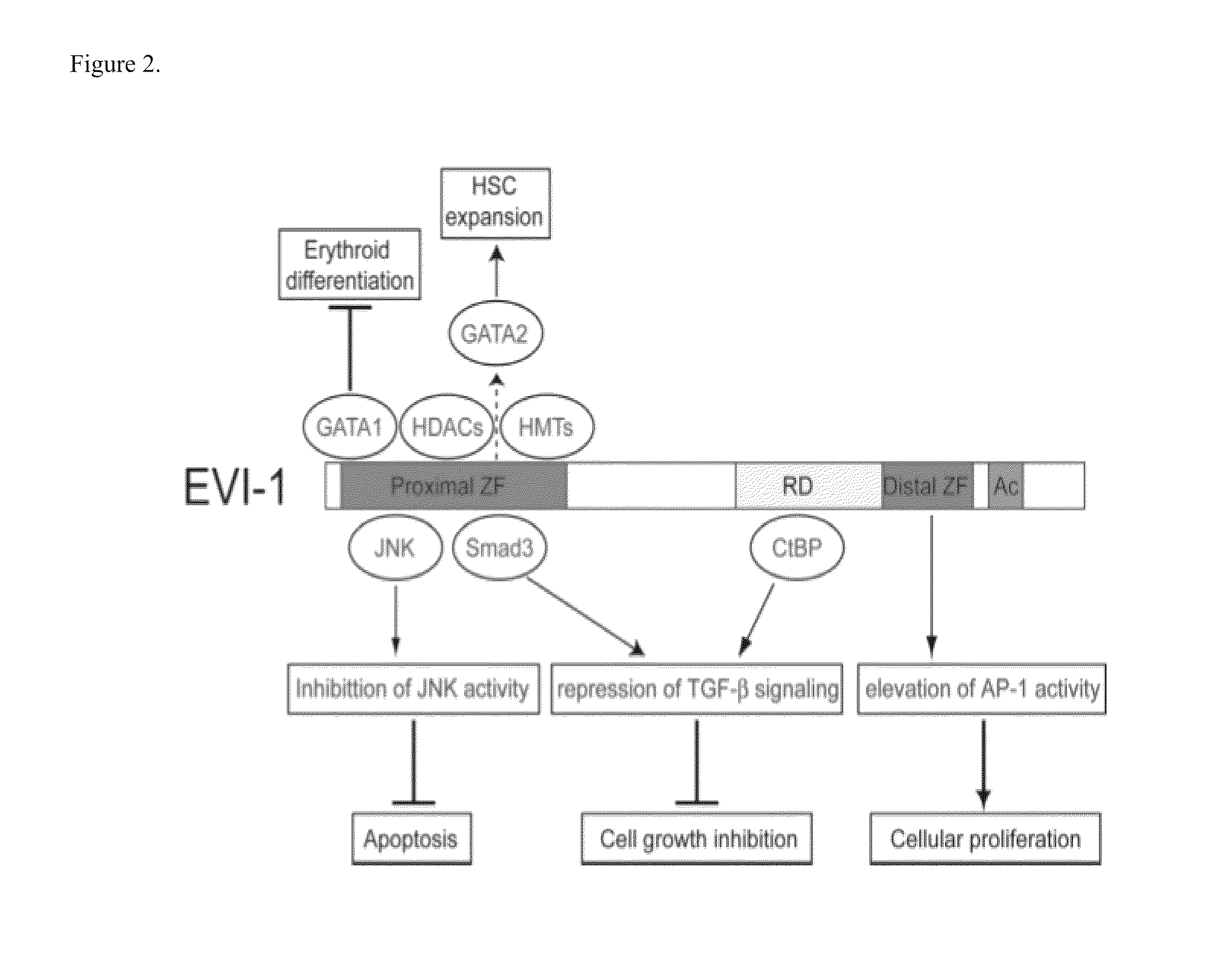 Reagents and methods for treating cancer