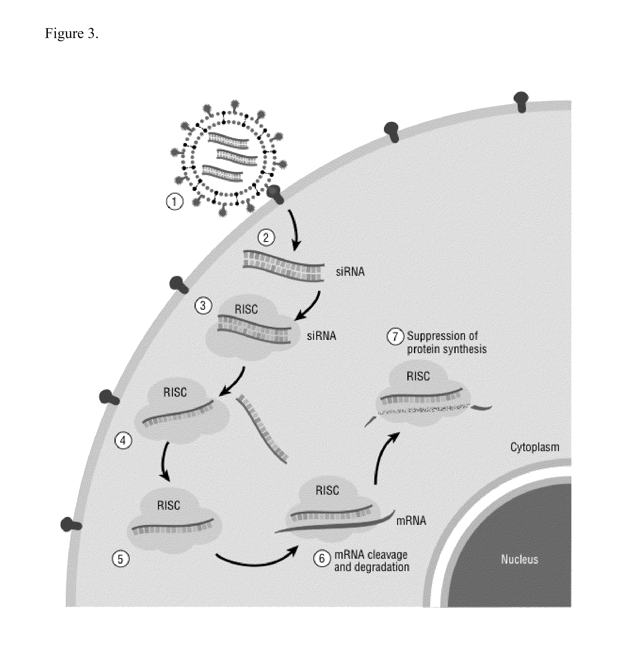 Reagents and methods for treating cancer