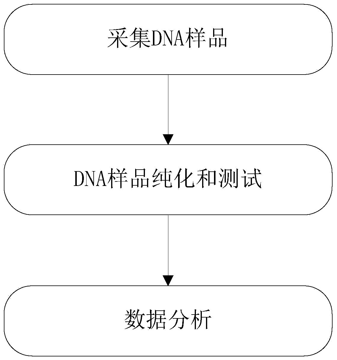 Gene chip for predicting RNA virus infected severe case as well as using method and application