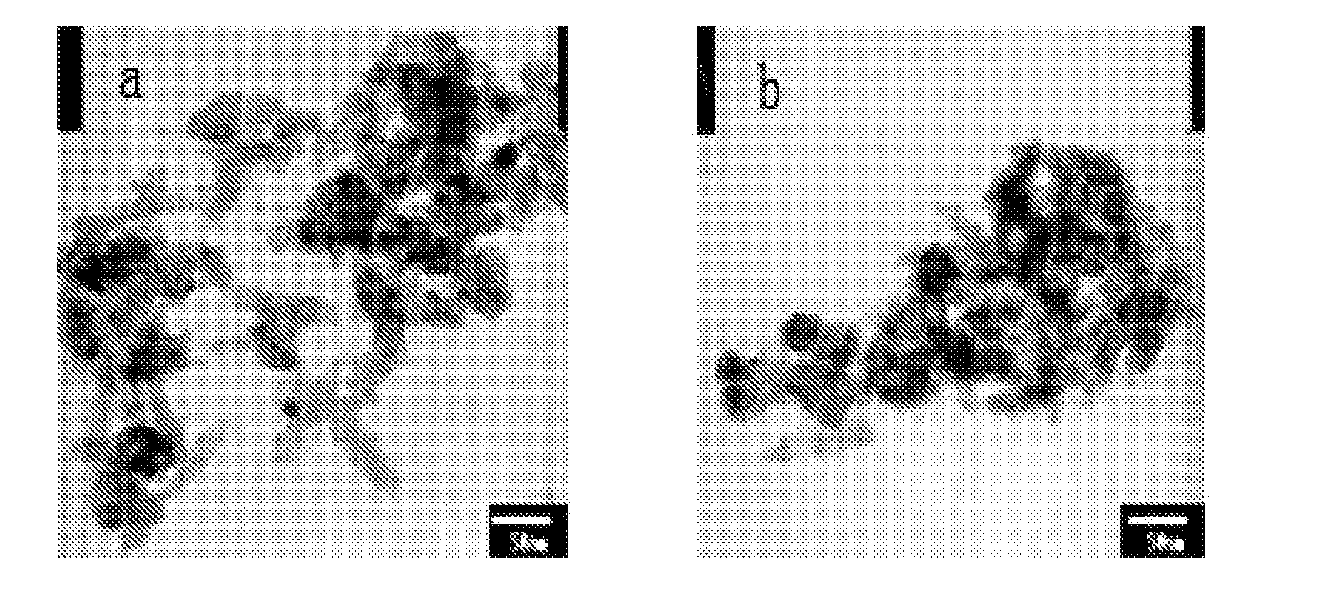 Nanometer powder catalyst and its preparation method