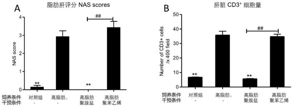 Application of cationic polymer in medicine preparation