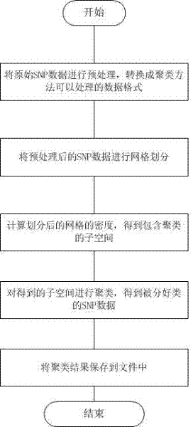 Method for clustering single nucleotide polymorphism (SNP) data