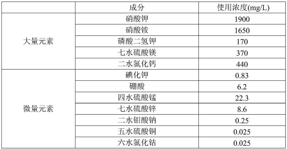 Anti-aging cream containing Changbai mountain wild ginseng cell water extract