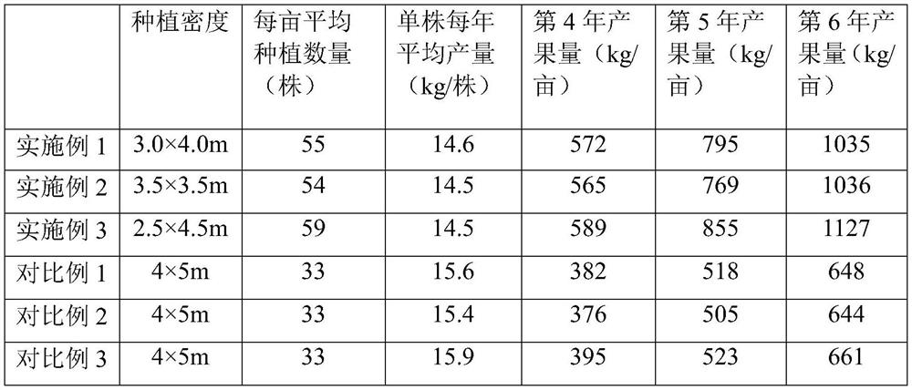 Ground cloth laying type high-efficiency planting method for macadamia nuts
