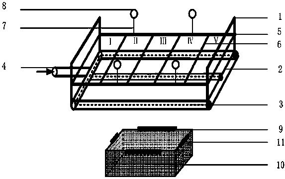 Method and device suitable for rapid spawning of buried benthic bivalve mollusc