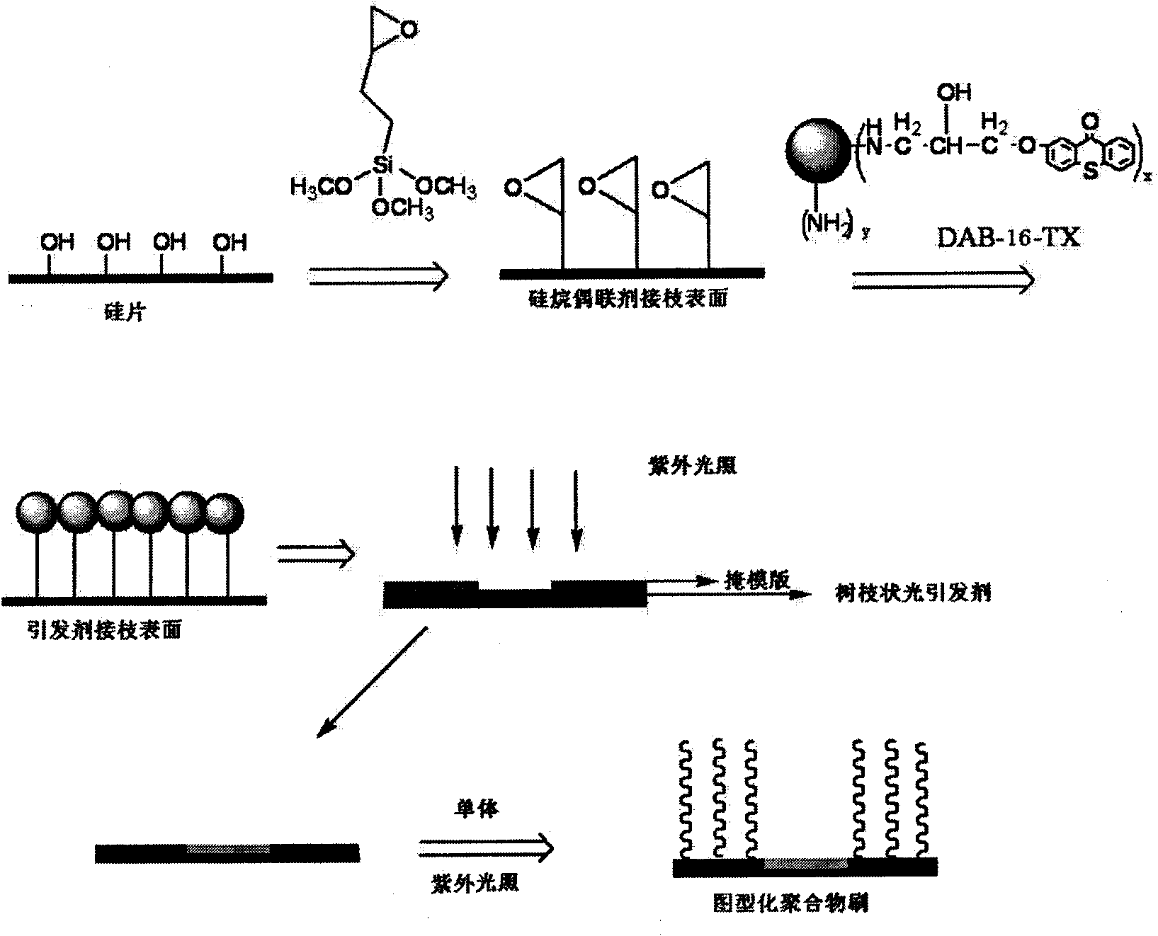 Method for preparing patterned polymer brush