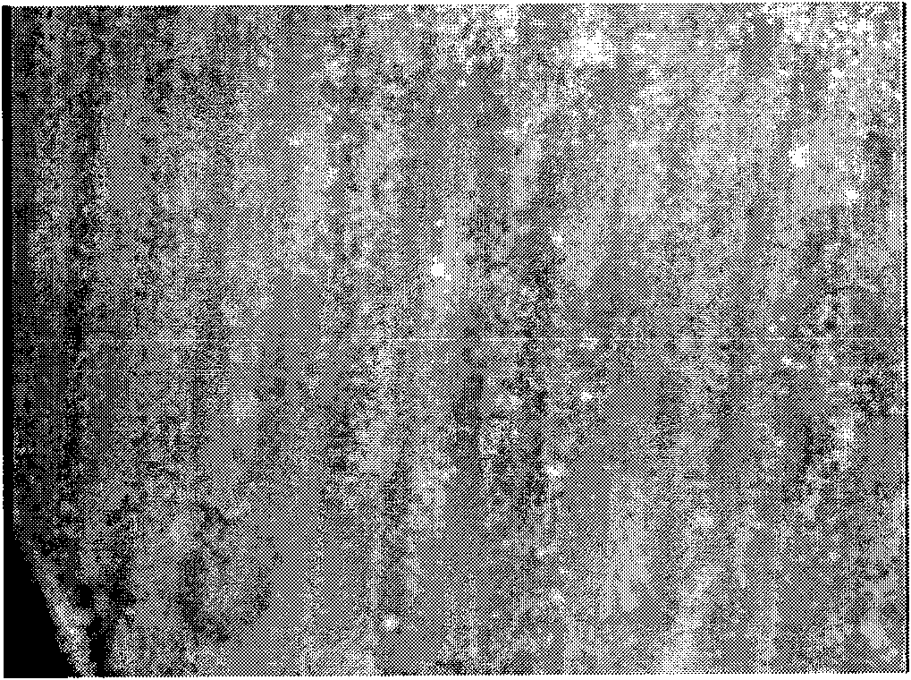 Method for preparing patterned polymer brush