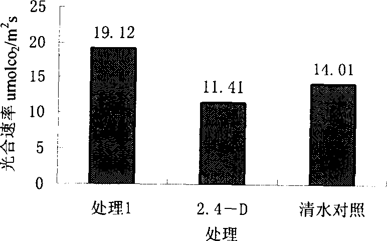 Rejuvenation agent for root system of crop