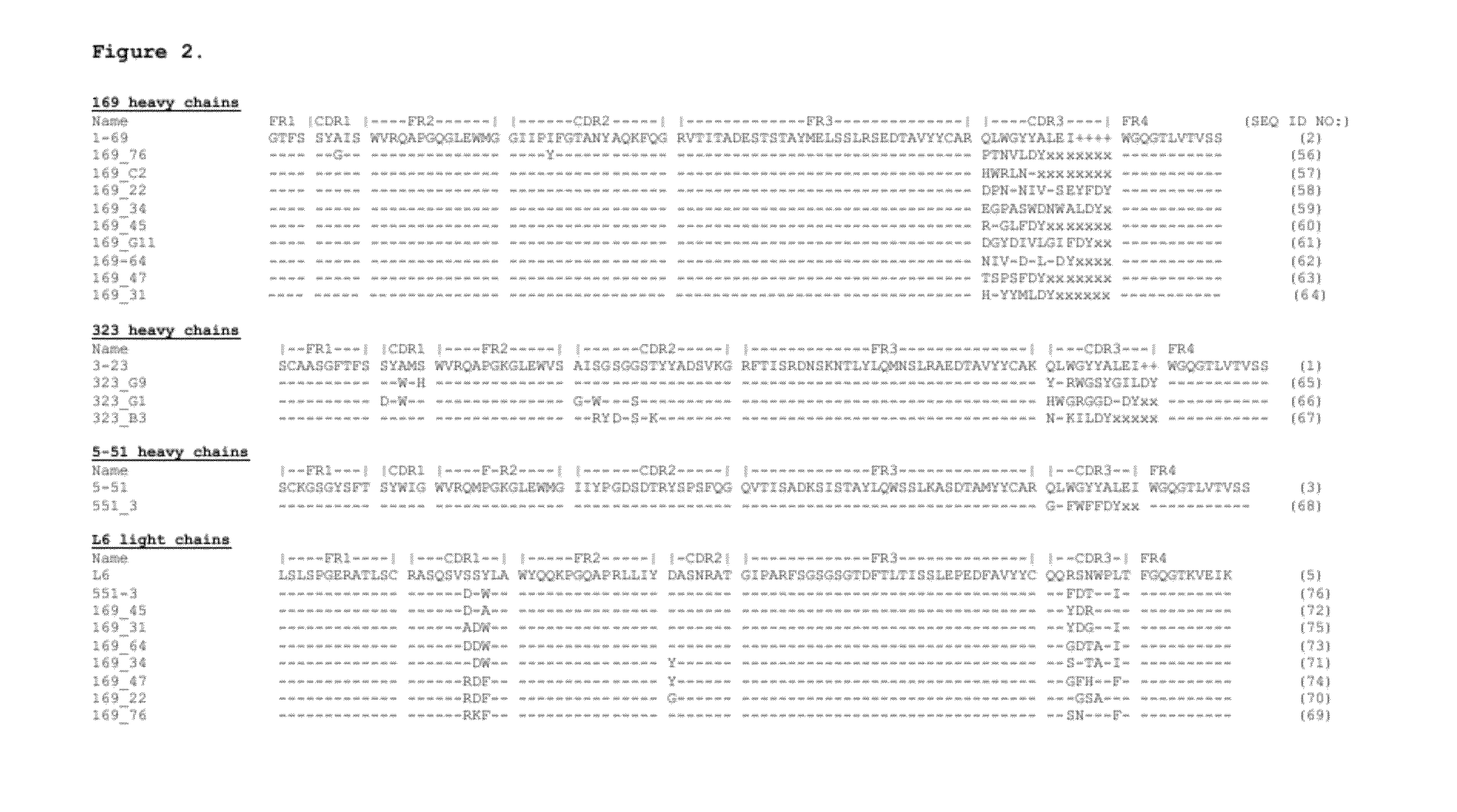 Antibodies Binding Human Collagen II