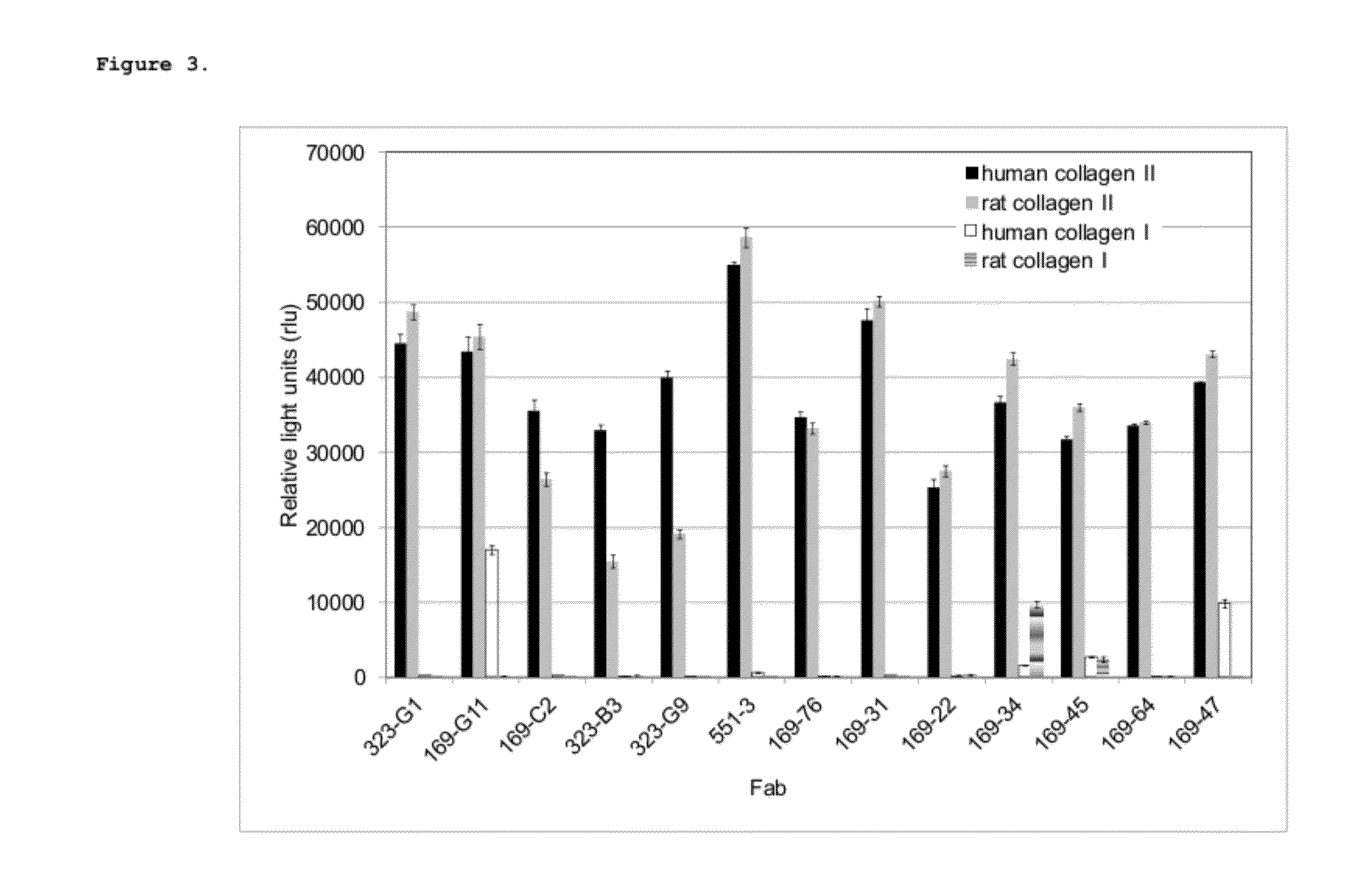 Antibodies Binding Human Collagen II