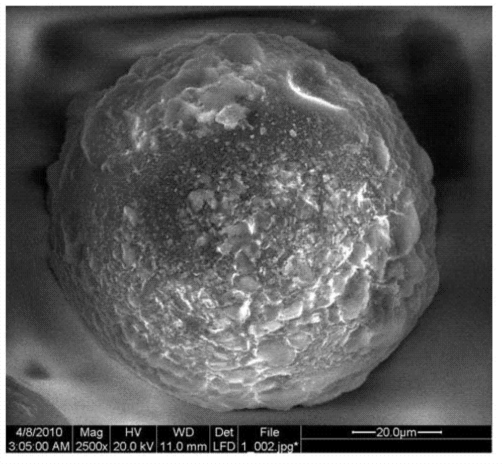 Preparation method of surface-modified fluorescent magnetic polymer composite microspheres