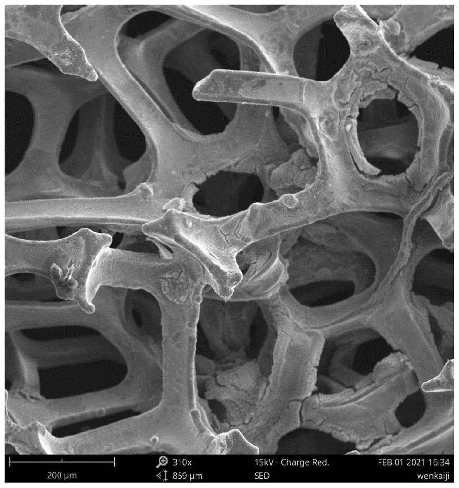 a ruo  <sub>2</sub> Foamed nickel composite electrode and its preparation method and application