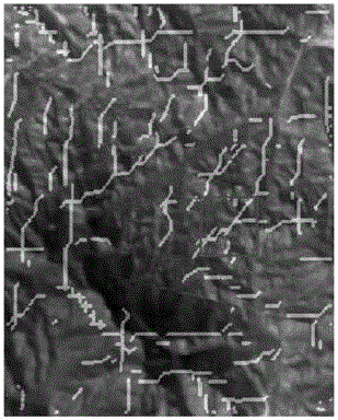 Detection method based on ridge energy correction for ribbon underground target in mountain land