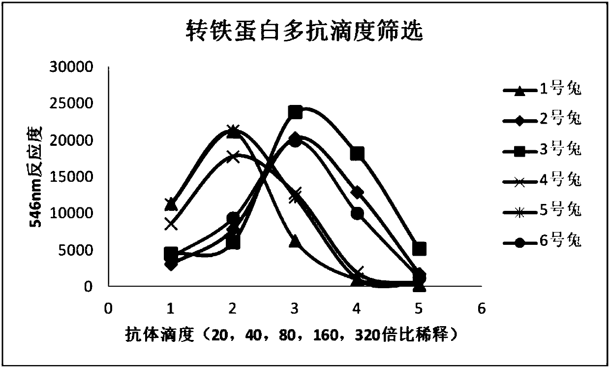 Antibody screening reagent for enhancing immunosuppression turbidimetry and preparation and use method thereof