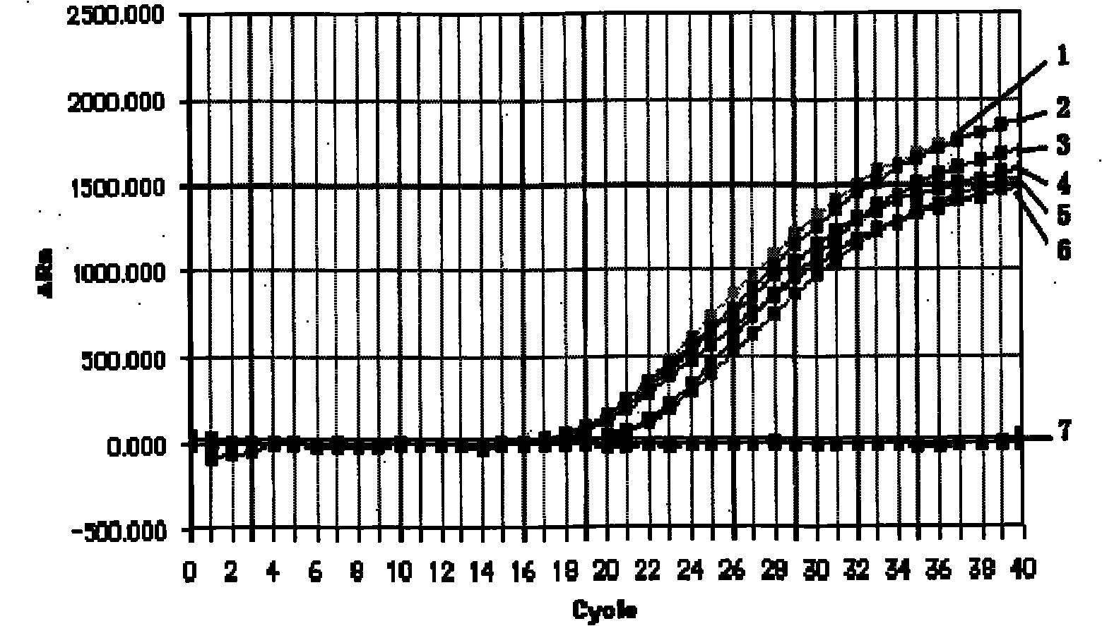 Real-time fluorescence PCR (Polymerase Chain Reaction) detecting method of Bactrocera philippinensis as well as primer and probe for detection