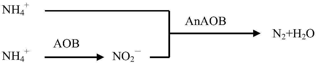 Anaerobic ammonium oxidation-based two-stage artificial rapid infiltration system and its start-up method