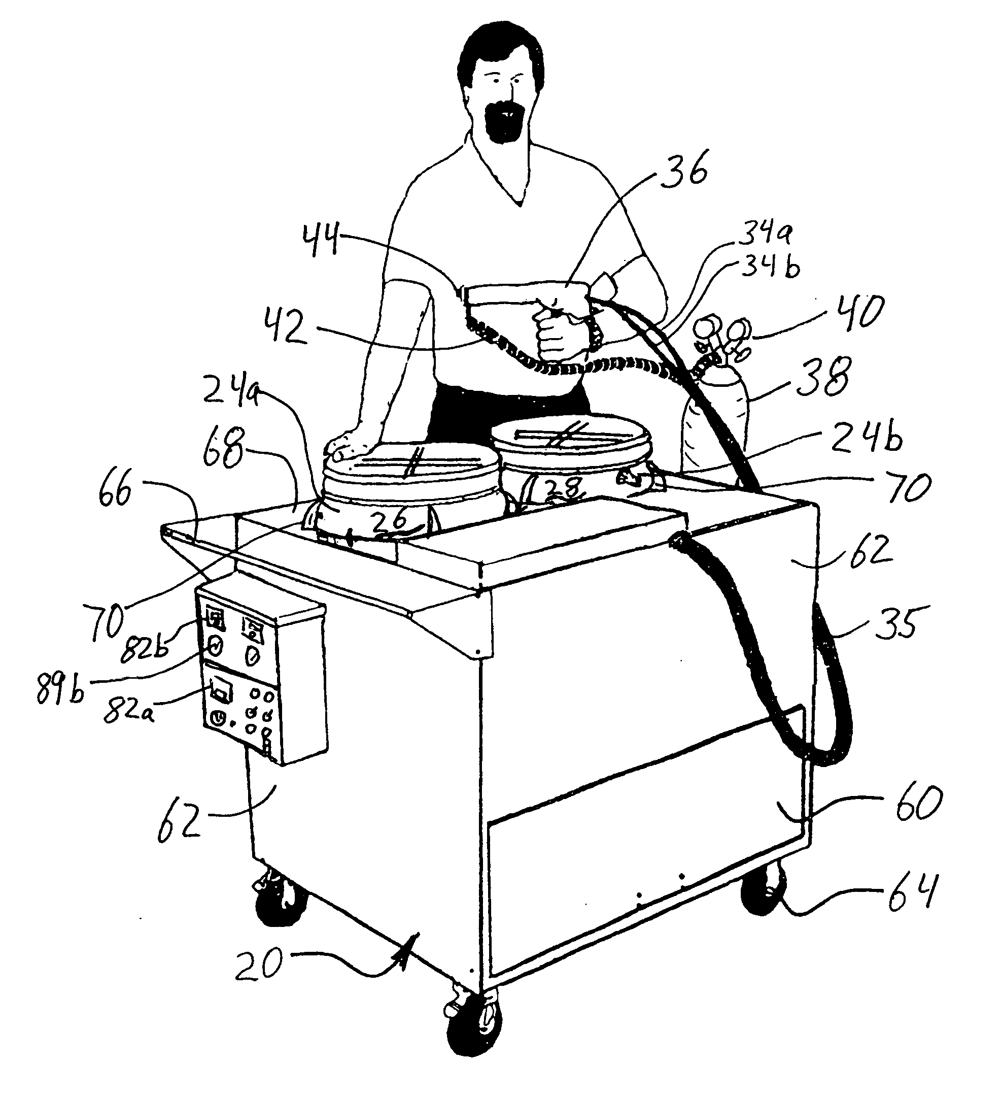 Portable spray system